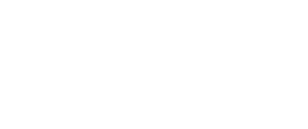 Devnik Logo